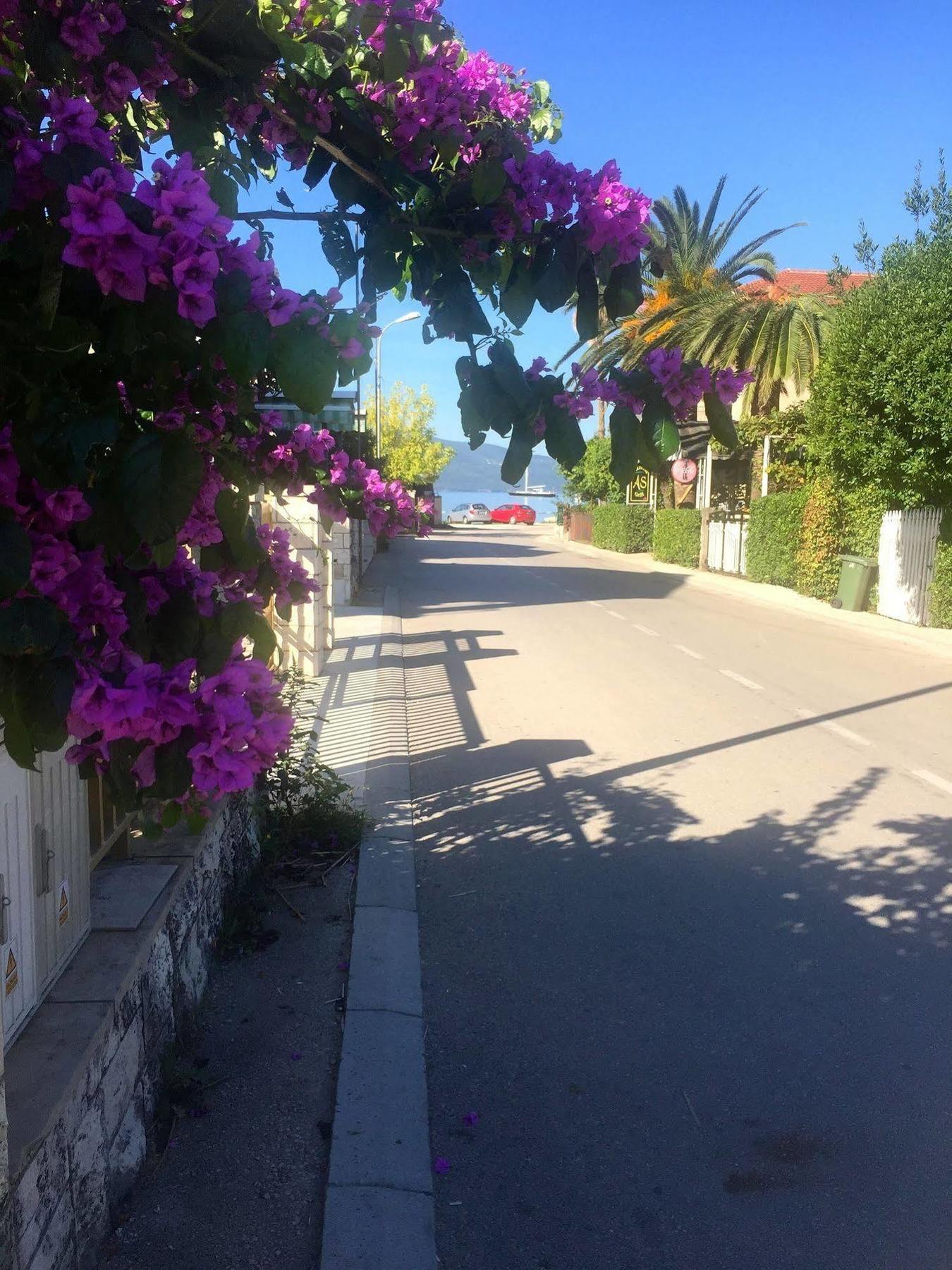 Boutique Hotel Villa Royal Tivat Exteriör bild